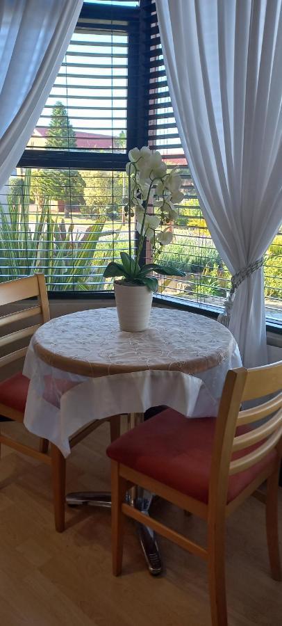 The Wooden Leg Guesthouse 克莱因蒙德 外观 照片